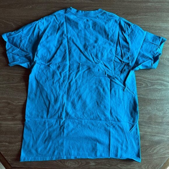 Hanes 2018 Awhonn Convention Tampa Florida Teal T-shirt Size L - Picture 9 of 14